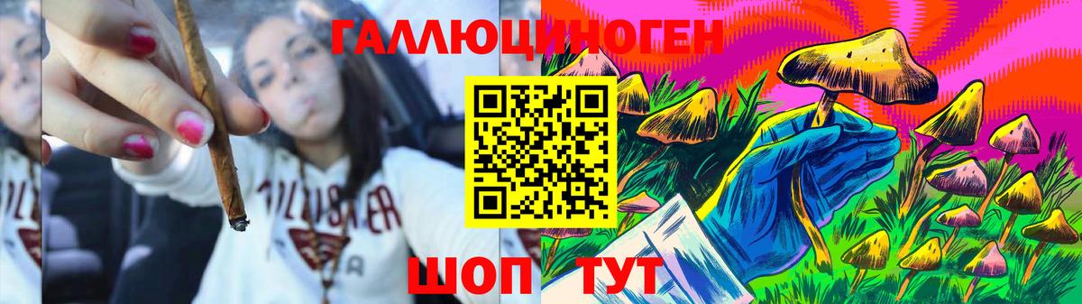 Псилоцибиновые грибы мицелий Луховицы