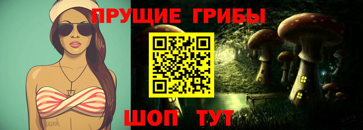Галлюциногенные грибы Psilocybe  Вход с VPN  Луховицы 